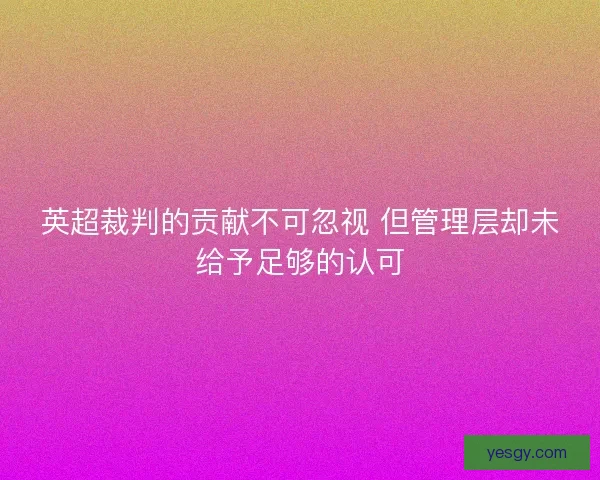 英超裁判的贡献不可忽视 但管理层却未给予足够的认可